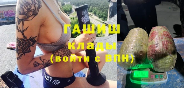 стаф Анива