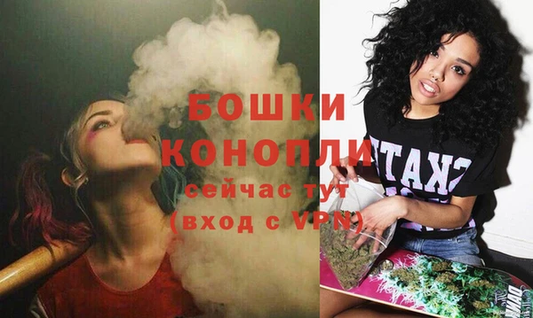 соль ск Каменка